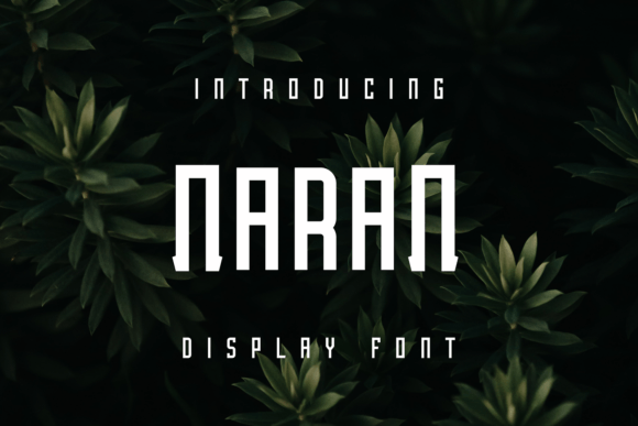 How Naran Became the Hero of My Latest Branding Project
