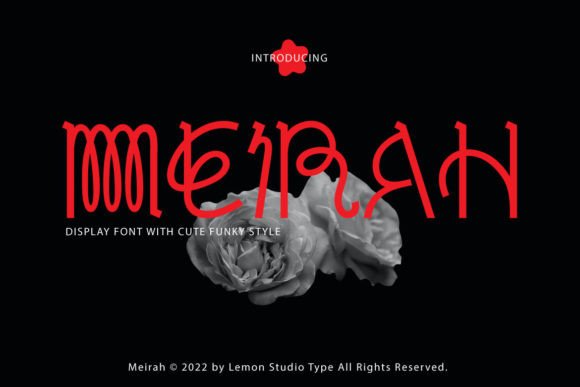Meirah: A Funky Vintage Display Font for Modern Web Design