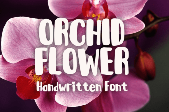 Orchid Flower Font: A Versatile Display Typeface for Small Business Branding